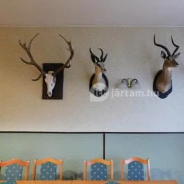 100 Éves Fogadó Szatymaz - Egyéb