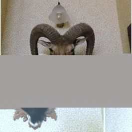 100 Éves Fogadó Szatymaz - Egyéb