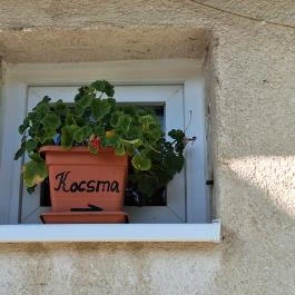 155. számú Vegyesbolt, Italbolt Balatoncsicsó - Egyéb