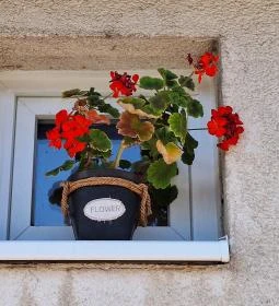 155. számú Vegyesbolt, Italbolt