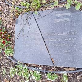 1956 Hősi emlékmű Dunavarsány - Egyéb