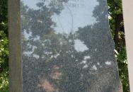 1956-os emlékmű Mezőkövesd