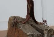 1956-os emlékmű Vác