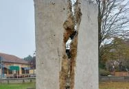 1956-os Emlékmű Ráckeve