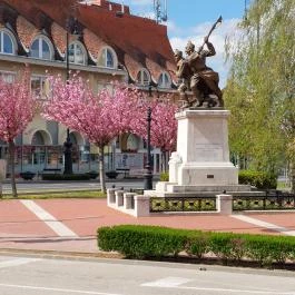 20. honvéd gyalogezred emlékműve Nagykanizsa - Külső kép