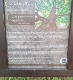 200 éves öreg tölgy