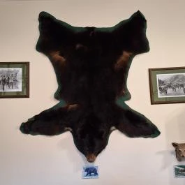 24 fenyő múzeum, Réde - Egyéb