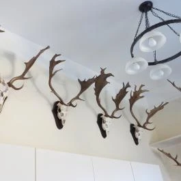 24 fenyő múzeum, Réde - Egyéb