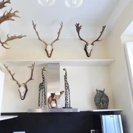 24 fenyő múzeum, Réde - Egyéb