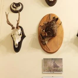 24 fenyő múzeum, Réde - Egyéb