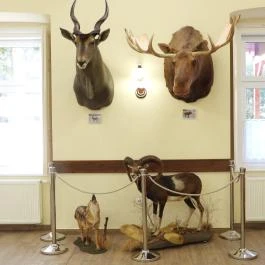 24 fenyő múzeum, Réde - Egyéb