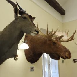 24 fenyő múzeum, Réde - Egyéb