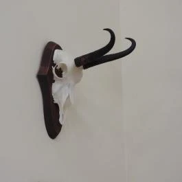 24 fenyő múzeum, Réde - Egyéb