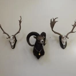 24 fenyő múzeum, Réde - Egyéb