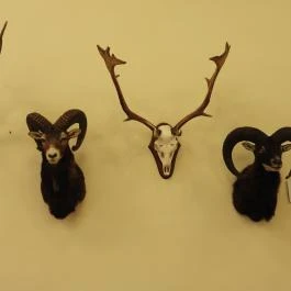 24 fenyő múzeum, Réde - Egyéb