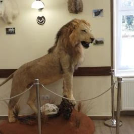 24 fenyő múzeum, Réde - Egyéb