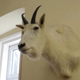 24 fenyő múzeum, Réde - Egyéb