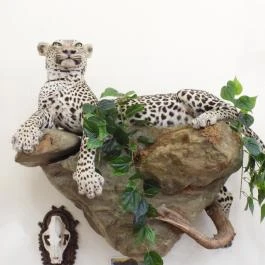 24 fenyő múzeum, Réde - Egyéb