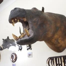 24 fenyő múzeum, Réde - Egyéb