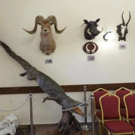 24 fenyő múzeum, Réde - Egyéb