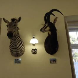 24 fenyő múzeum, Réde - Egyéb