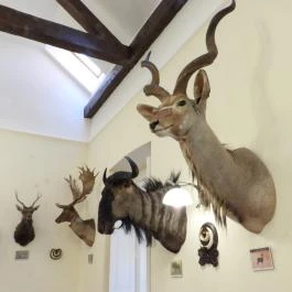 24 fenyő múzeum, Réde - Egyéb