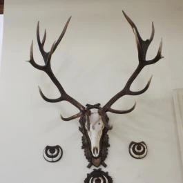 24 fenyő múzeum, Réde - Egyéb