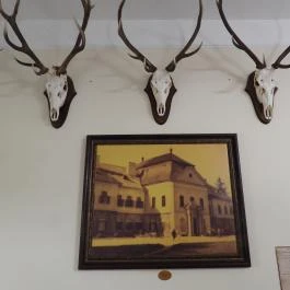 24 fenyő múzeum, Réde - Egyéb