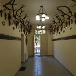 24 fenyő múzeum, Réde - Belső