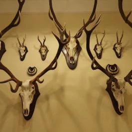 24 fenyő múzeum, Réde - Egyéb