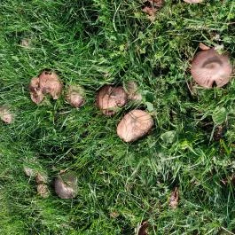 2d Szállás Óbánya - Egyéb