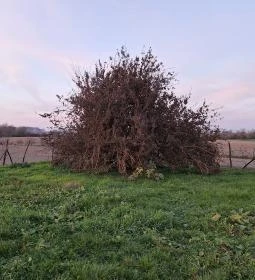 264. legjobb látnivaló: 400 éves som