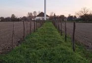 400 éves som Császló