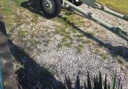 '56-os Múzeum Kiskunmajsa