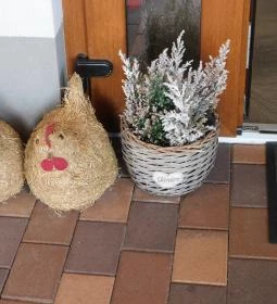 Vitis Kúria - A Badacsony kapuja