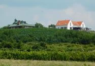 Vitis Kúria Panzió - a Badacsony kapuja Balatonrendes