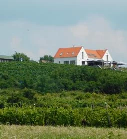 Vitis Kúria Panzió - a Badacsony kapuja