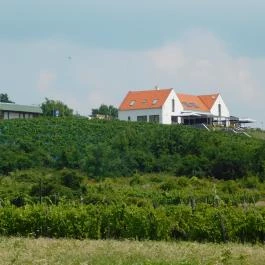 Vitis Kúria Panzió - a Badacsony kapuja Balatonrendes - Külső kép