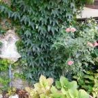 84 Bisztró Kapolcs - Egyéb