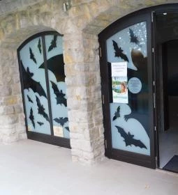 Abaligeti Cseppkőbarlang