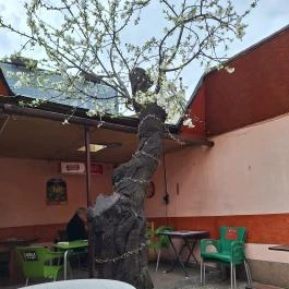 Abasári Borozó, Budapest - Belső