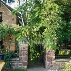 Ábrahám Teázó Ábrahámhegy - Külső kép