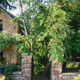 Ábrahám Teázó, Ábrahámhegy - Külső kép