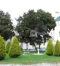 Acsaújlaki Kastély