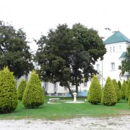 Acsaújlaki Kastély Acsa - Külső kép