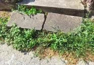 Ádám Jenő Emlékház Szigetszentmiklós