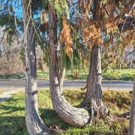 Adél Vendégház, Ispánk - Egyéb