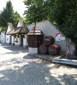 311. legjobb látnivaló: Adony pincesor