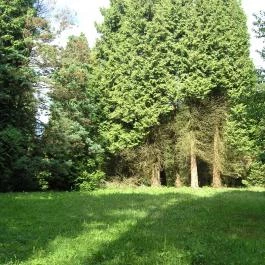 Ágneslak Fogadó és Vadászház Ökoturisztikai Centrum, Csurgónagymarton - Környék