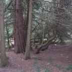 Ágneslak Fogadó és Vadászház Ökoturisztikai Centrum Csurgónagymarton - Környék